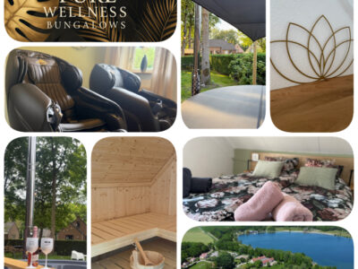 Luxe Wellness huisje